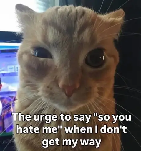 A cat with a twitching eye captioned with: 'The urge to say "so you hate me" when I don't get my way'.