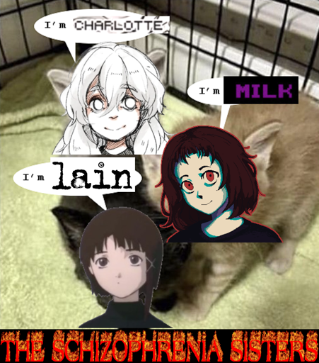 Three cats is a cage, each representing a character from certain media. "I'm Charlotte," says the protagonist from Hello Charlotte. "I'm Milk," says the girl from Milk Outside a Bag of Milk. "I'm Lain," says the titular character from Serial Experiments Lain. Below the image the text on fire says: "the schizophrenia sisters".