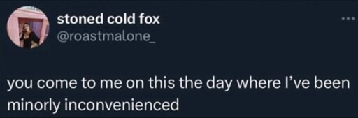 A tweet with the text "you come to me on this day where I've been minorly inconvenienced"