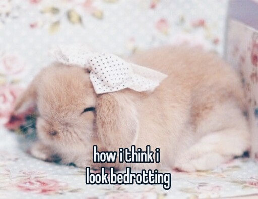 Bedstinkingcute