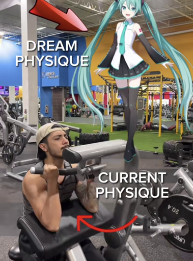 Gym hunk training their biceps at a machine. They are captioned with "Current Physique". Meanwhile, a "Dream Physique" caption is sitting next to a low-res Hatsune Miku, strutting at the same gym.